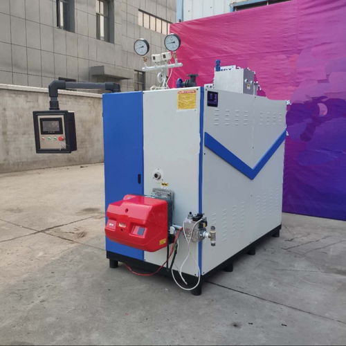 立浦熱能1t燃?xì)庹羝l(fā)生器在生物設(shè)備行業(yè)中的應(yīng)用