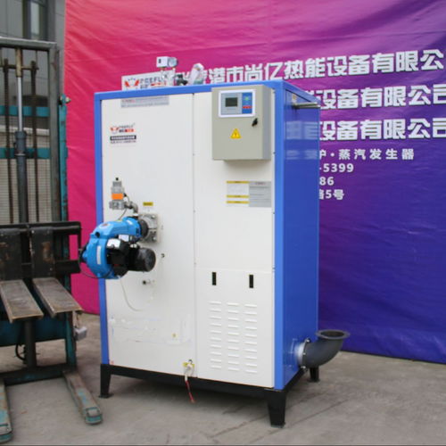 立浦熱能LWS0.2 0.7 Y Q燃?xì)庹羝l(fā)生器 高效消毒與環(huán)保機(jī)電設(shè)備的卓越選擇