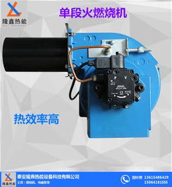 隆鑫熱能設(shè)備 高效節(jié)能的燃油燃?xì)馊紵龣C(jī)，驅(qū)動現(xiàn)代工業(yè)熱能解決方案